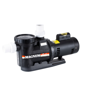 مضخة مياه عالية الأداء 1.0HP 1.5HP 2.0HP 3.0HP لحمام السباحة والمنتجع الصحي