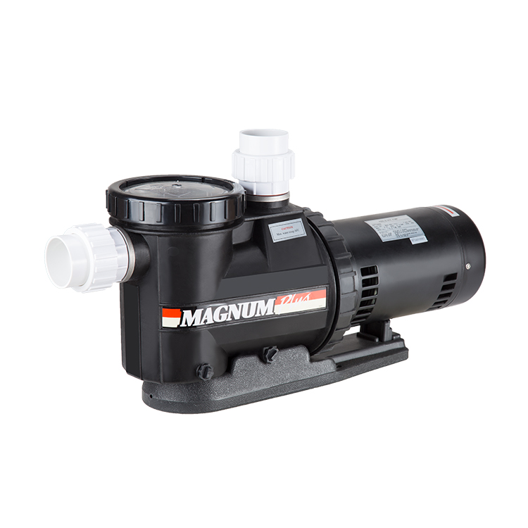 الملح الملح