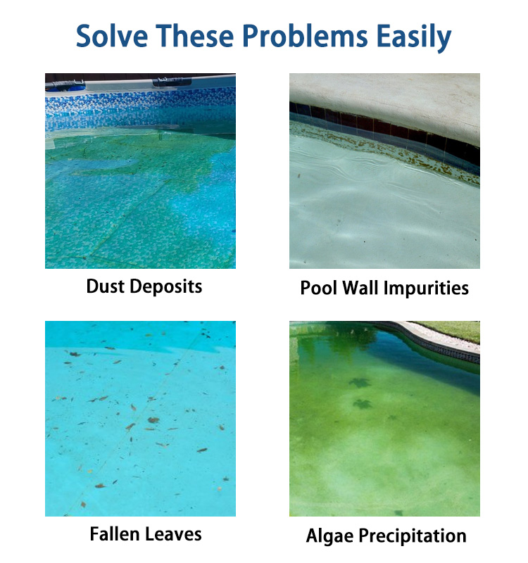 دولفين بريمير منظف حوض السباحة الآلي