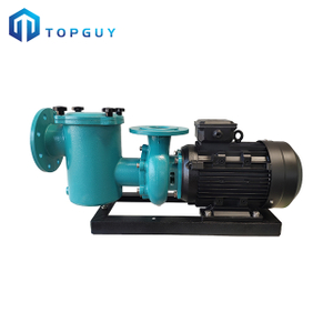 5hp /7.5hp عالية الكفاءة الحديد الزهر حمام سباحة صغير مضخة تداول بركة المياه