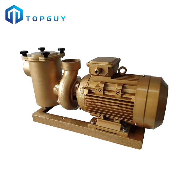 مضخة حمام السباحة متغير سرعة 