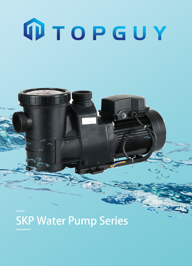 مضخة مرشح البركة 